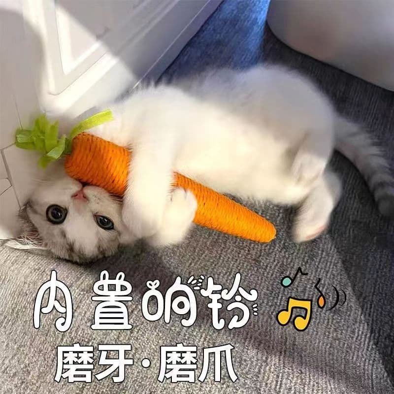 Cat Toy Carrot Bell Cat Funny Stick Kitten Self-Happiness and Boredom Relief Handy Gadget Toy Cat Scratching Board Pet Supplies